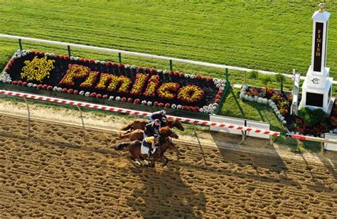 "It looked like this at a. . Pimlico race track entries